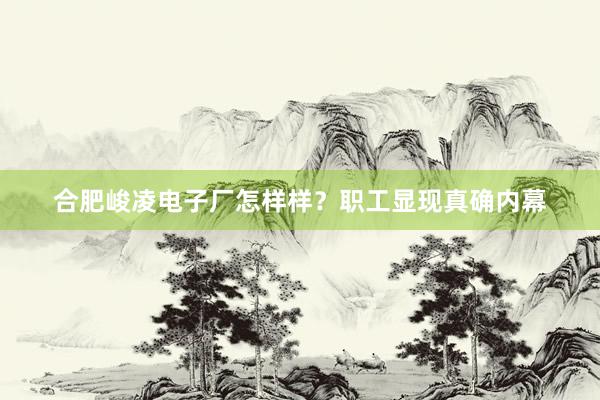合肥峻凌电子厂怎样样？职工显现真确内幕